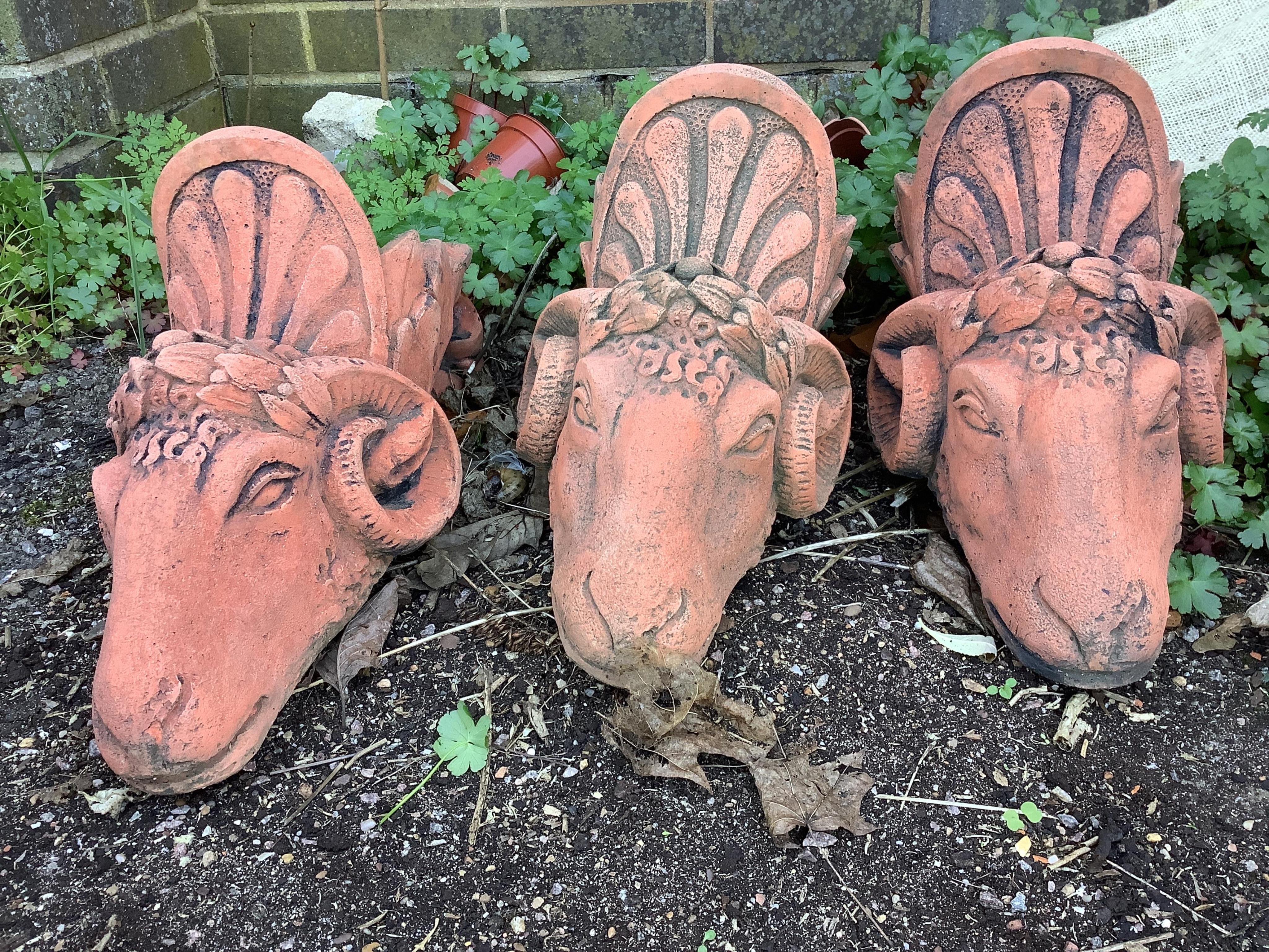 Three gothic terracotta ram's head garden wall pockets, height 40cm. Condition - good